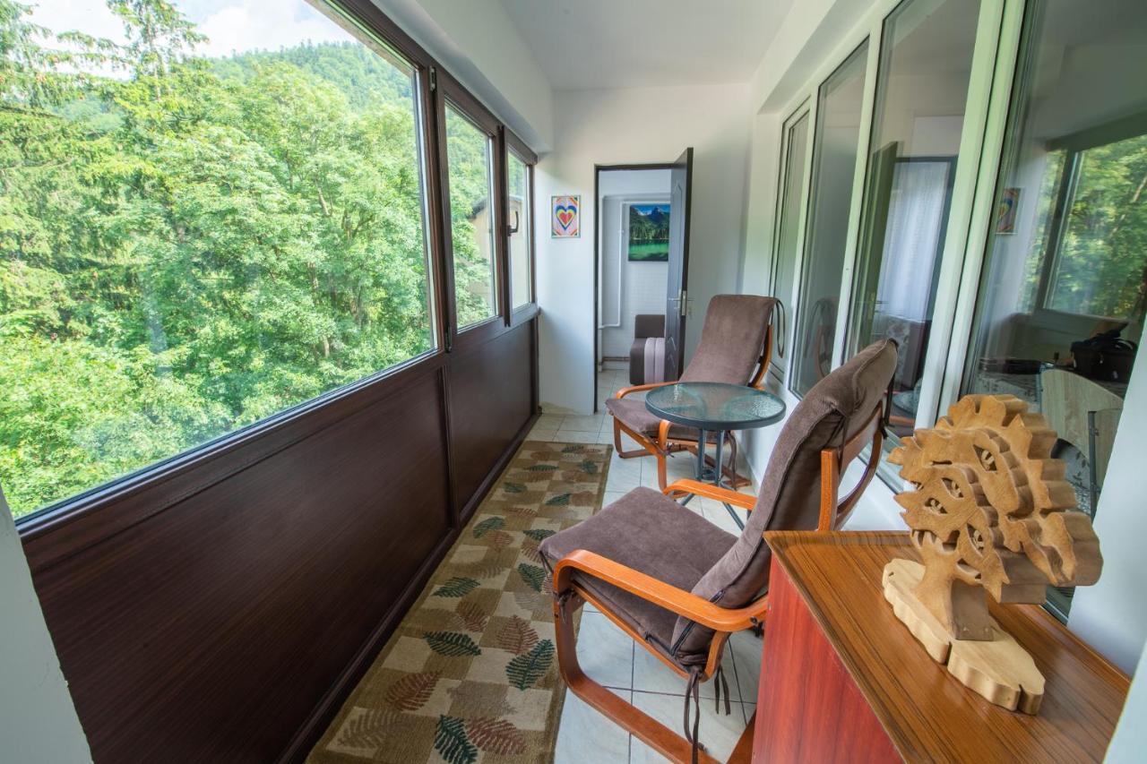 Monik Apartament Синая Экстерьер фото